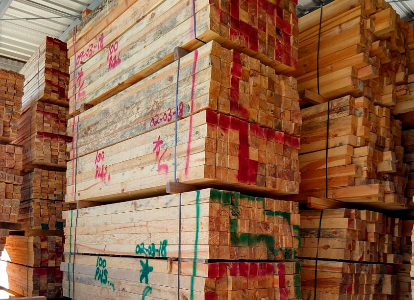 Maderas del Altiplano